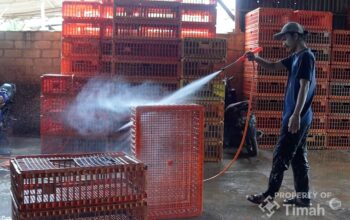 PT Timah Perkuat Dukungan UMKM, Ribuan Pelaku Usaha Telah Terima Manfaat