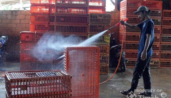 PT Timah Perkuat Dukungan UMKM, Ribuan Pelaku Usaha Telah Terima Manfaat