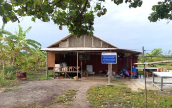 PT TIMAH Dukung KWT di Karimun Produksi Belacan “Cinta”